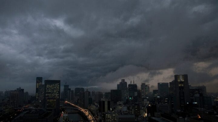 China retoma importação de frangos do Brasil após suspensão por gripe aviária