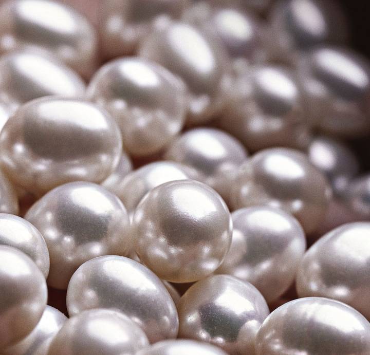 Como a ostra produz pérolas naturais e cultivadas