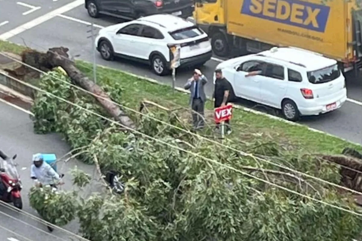 São Paulo registra 2,2 milhões de imóveis sem energia após tempestades