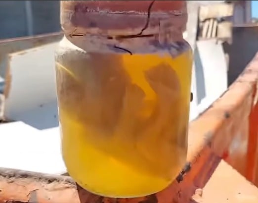 Feto masculino é encontrado em caçamba de lixo em Mãe Luíza, Natal