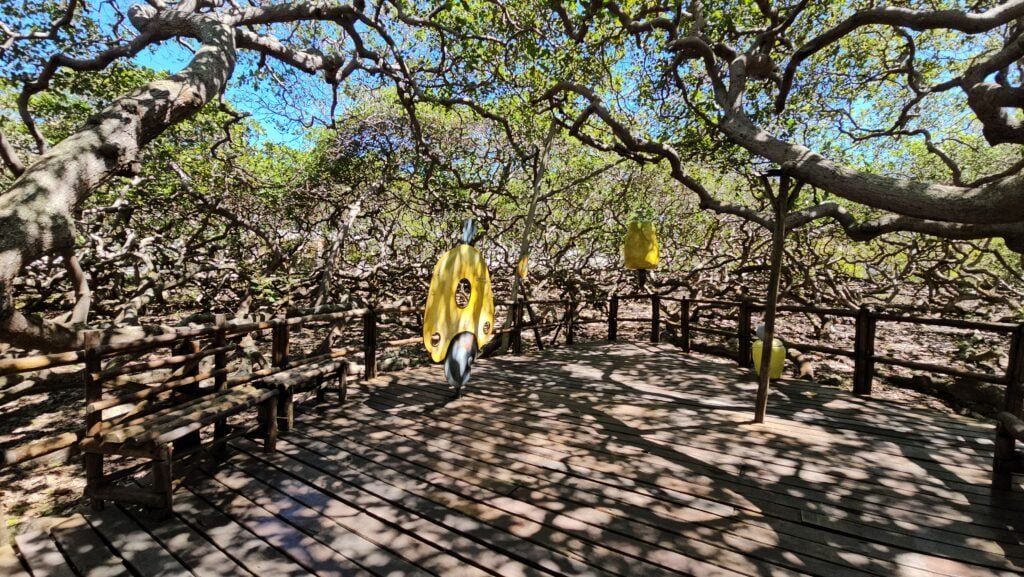 Idema anuncia horários especiais para parques no feriado de 1º de maio