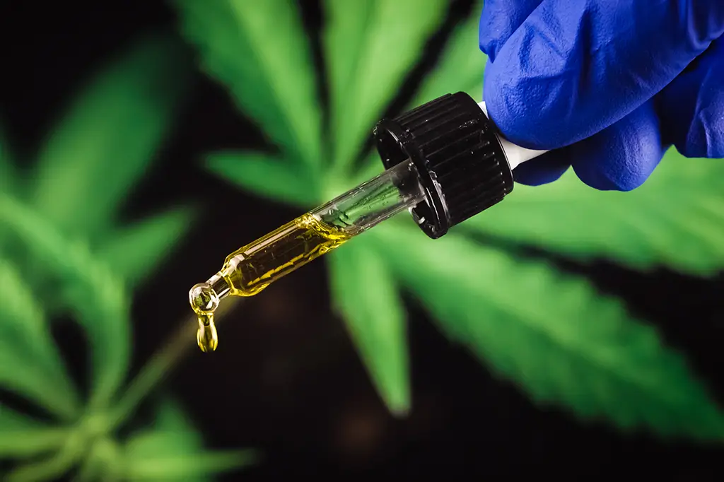 Revisão não comprova eficácia da cannabis medicinal para ansiedade e depressão